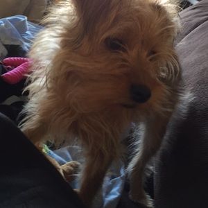 Meet your Posher, Fernando